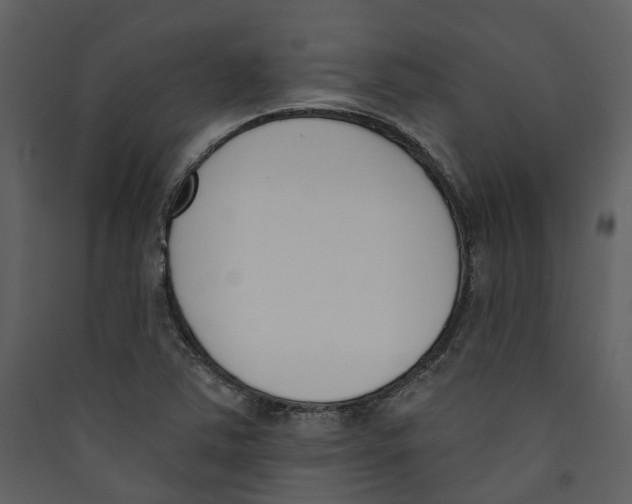 X0000089391363200707131711