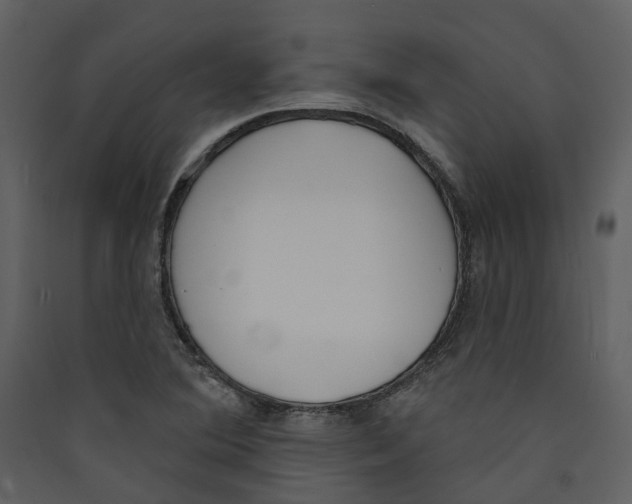 X0000089391364200707131711
