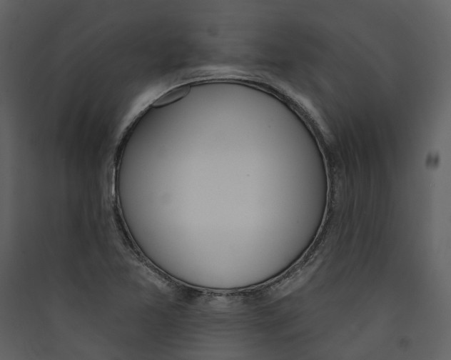 X0000089391365200707131711