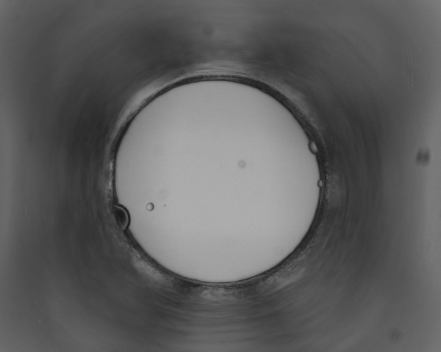 X0000089391366200707131711