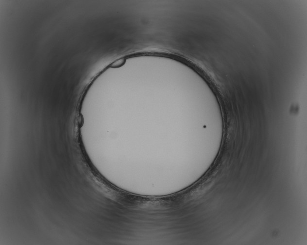 X0000089391367200707131711