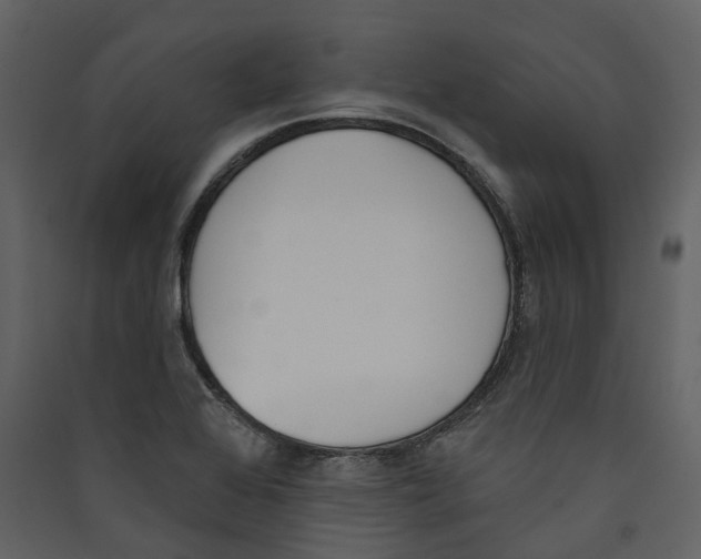 X0000089391368200707131711