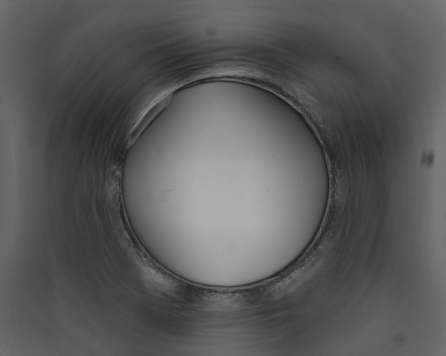 X0000089391369200707131710