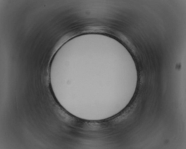 X0000089391370200707131710