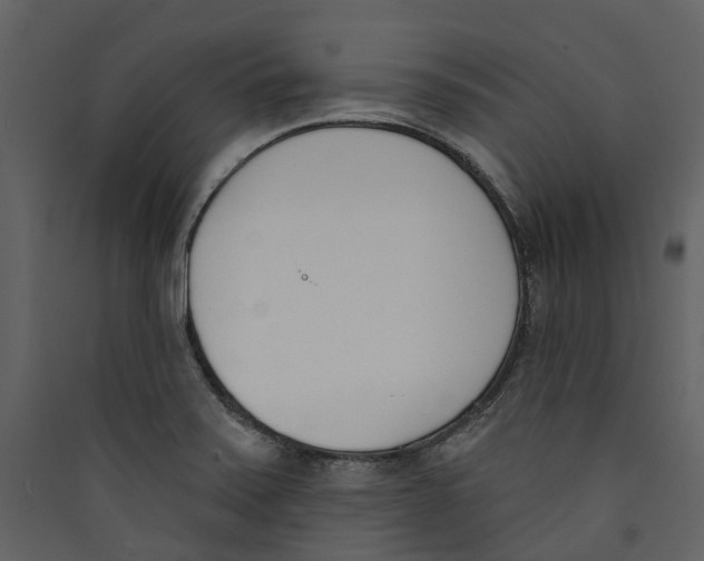 X0000089391371200707131710