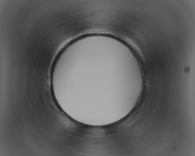X0000089391372200707131710
