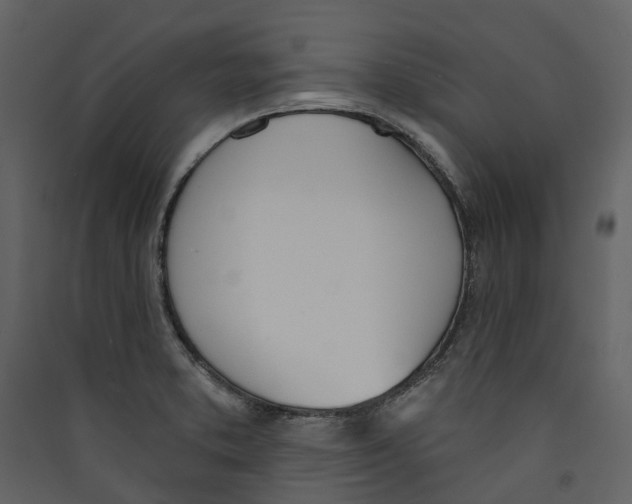 X0000089391373200707131710