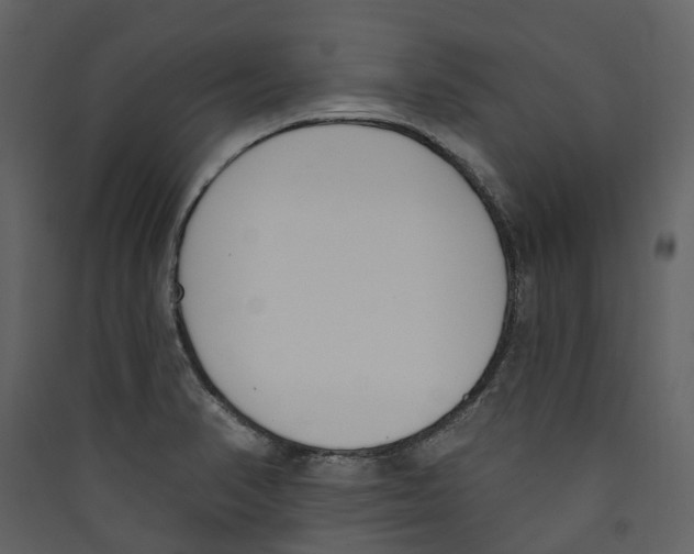 X0000089391374200707131710