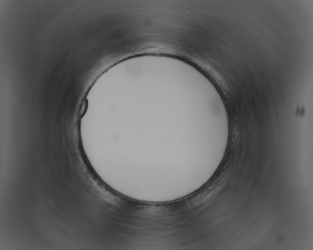 X0000089391375200707131710