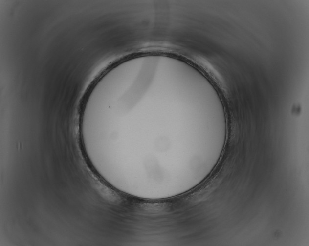 X0000089391376200707131710
