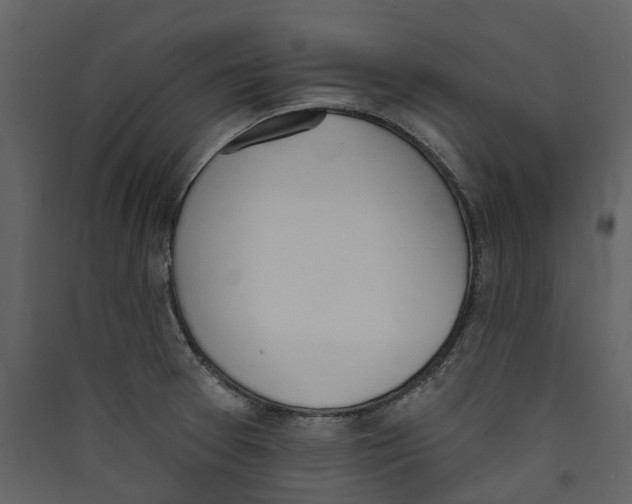 X0000089391377200707131710