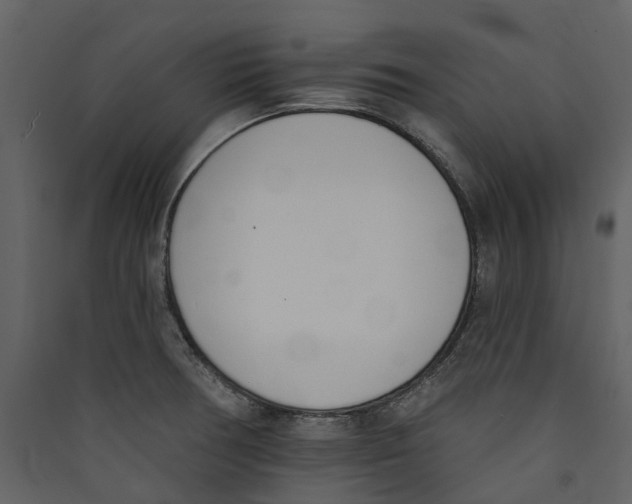X0000089391378200707131710