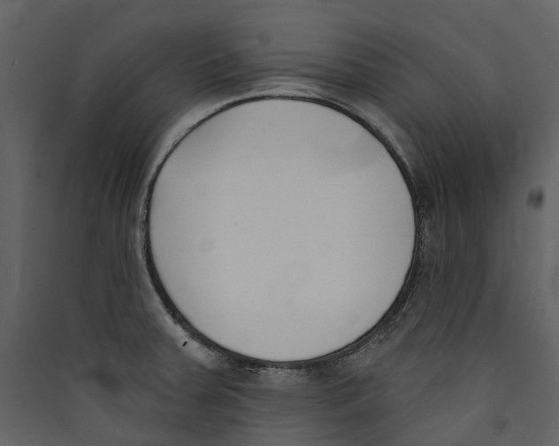 X0000089391379200707131710