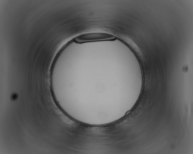 X0000089391380200707131710