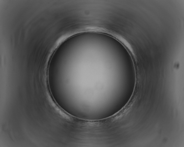 X0000089391381200707131710