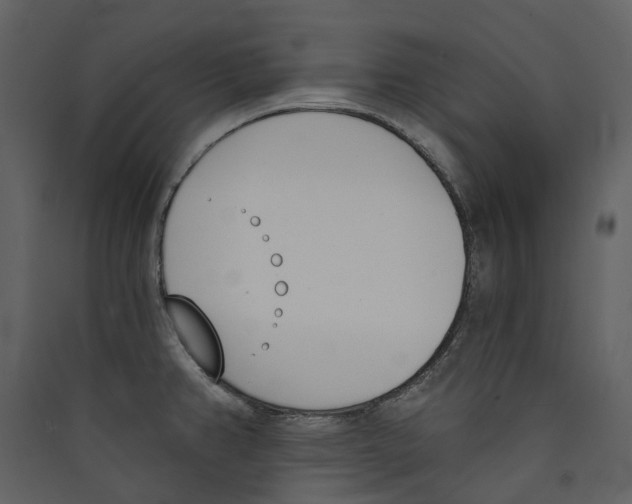 X0000089391382200707131710