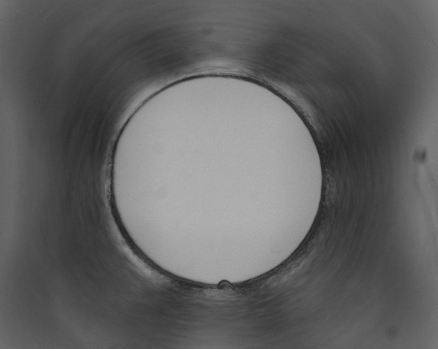 X0000089391383200707131710