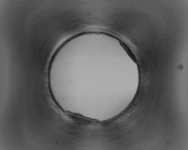 X0000089391384200707131710