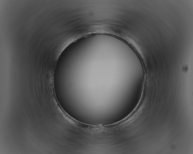 X0000089391385200707131710