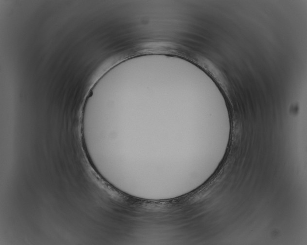 X0000089391386200707131710