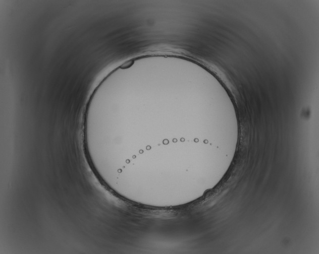 X0000089391387200707131710