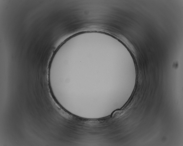 X0000089391388200707131710