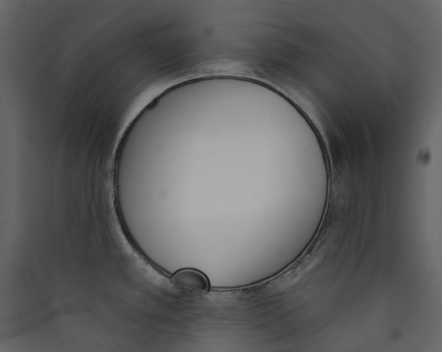 X0000089391389200707131710