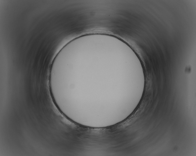 X0000089391390200707131710