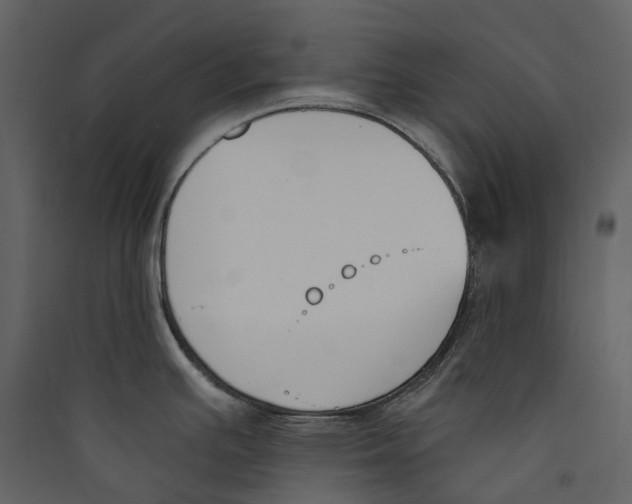 X0000089391391200707131710