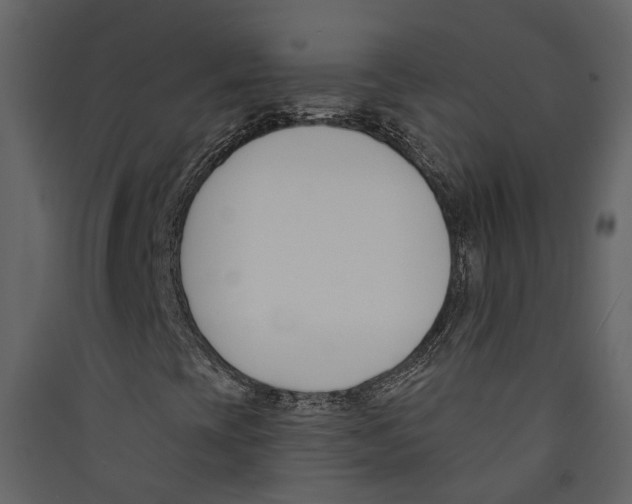 X0000089391393200707131710