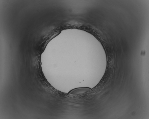 X0000089391397200707131710