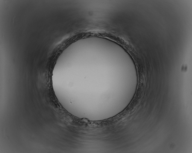 X0000089391398200707131710