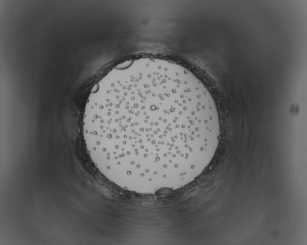 X0000089391399200707131710