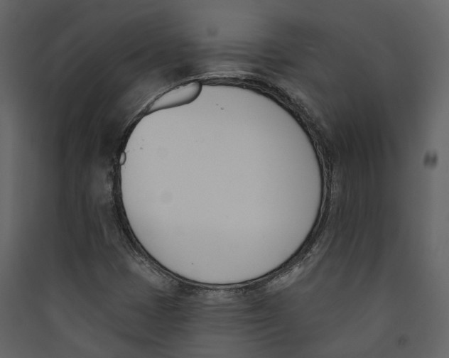X0000089391401200707131710