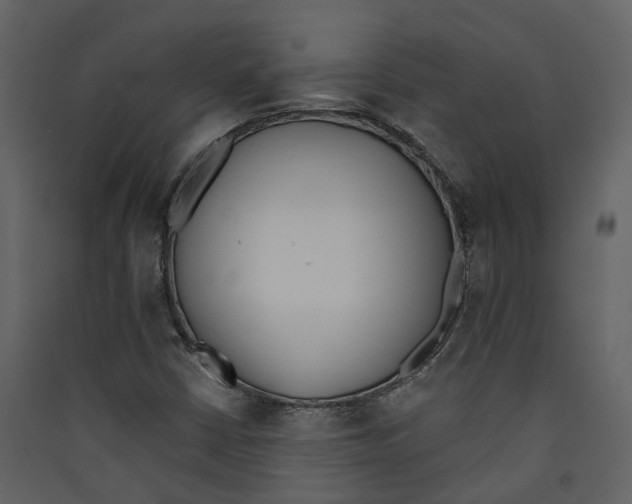 X0000089391402200707131710