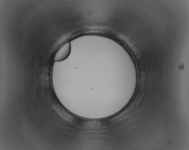 X0000089391403200707131710