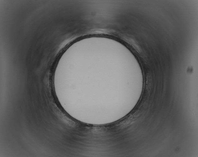 X0000089391404200707131710