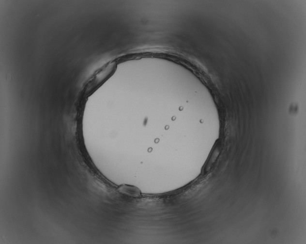 X0000089391406200707131710