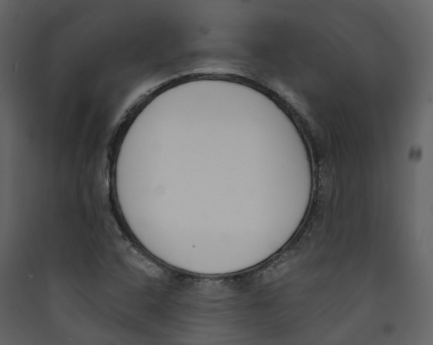 X0000089391408200707131710