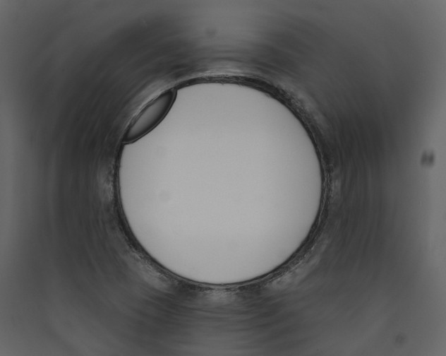 X0000089391409200707131710