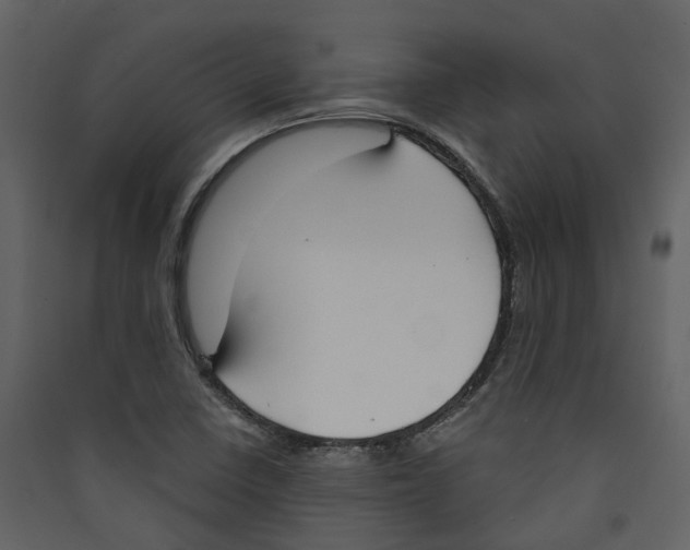 X0000089391410200707131710