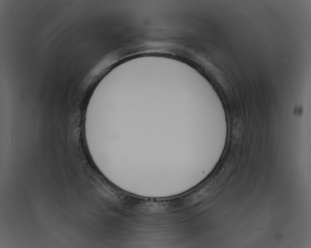 X0000089391411200707131710