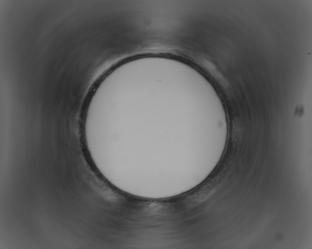 X0000089391412200707131710