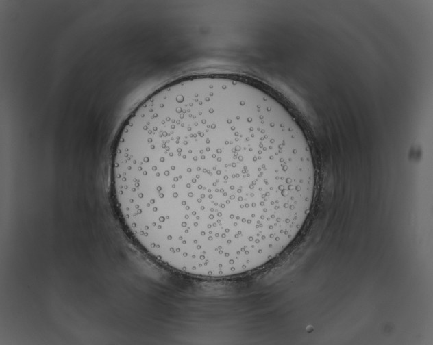 X0000089391413200707131710