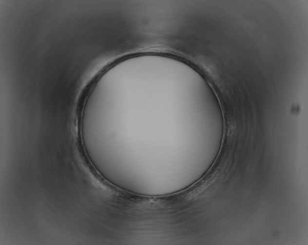 X0000089391414200707131710