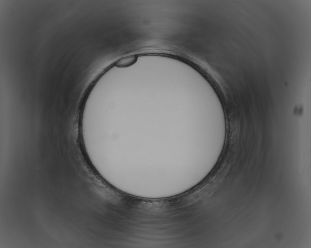 X0000089391415200707131710