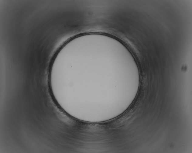 X0000089391416200707131710