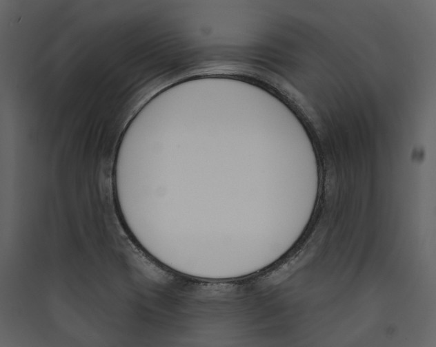 X0000089391417200707131710
