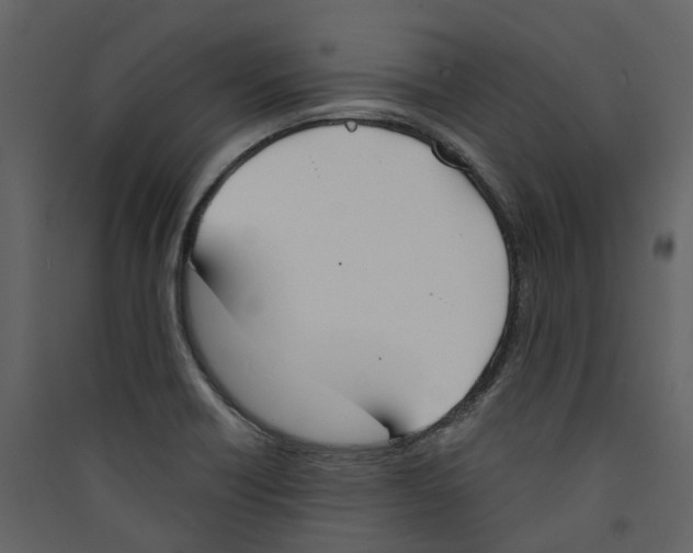X0000089391418200707131710