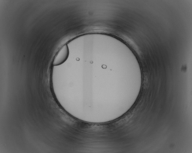 X0000089391419200707131710